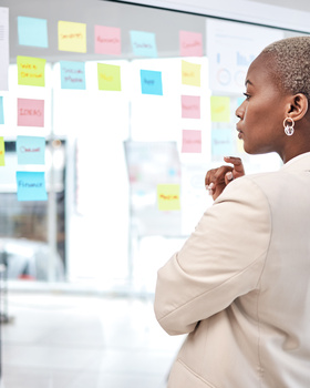 Interim management for marketing and sales
