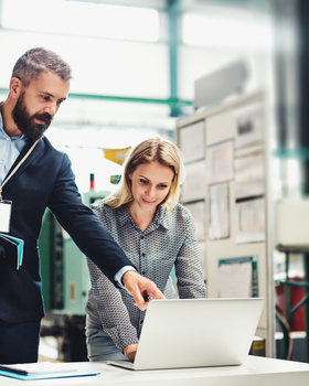 Interim management for project and process management